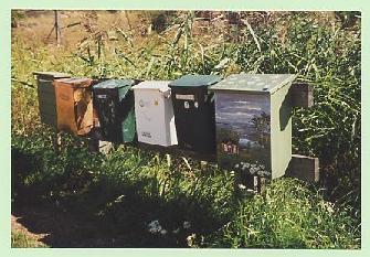 Boites aux lettres