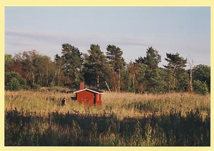 le sauna du camping de Kumlinge